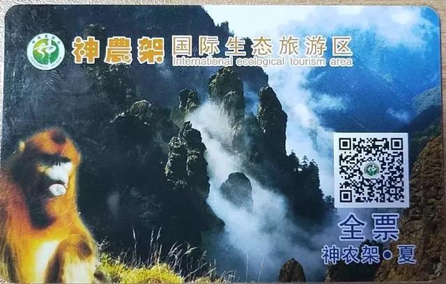 中国天然氧吧—人间仙境、奇美秀丽的神农架自驾游之旅（附攻略）
