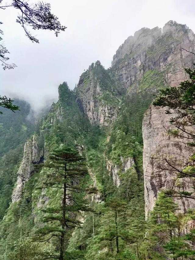 中国天然氧吧—人间仙境、奇美秀丽的神农架自驾游之旅（附攻略）