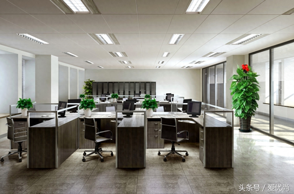 办公室的植物绿萝_办公室的植物绿萝_办公室的植物绿萝