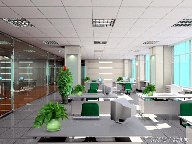 办公室的植物绿萝_办公室的植物绿萝_办公室的植物绿萝