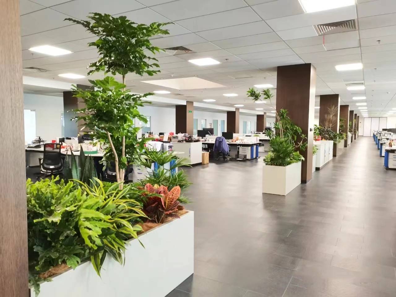 办公室绿化环境的特征进行布置，你了解吗？