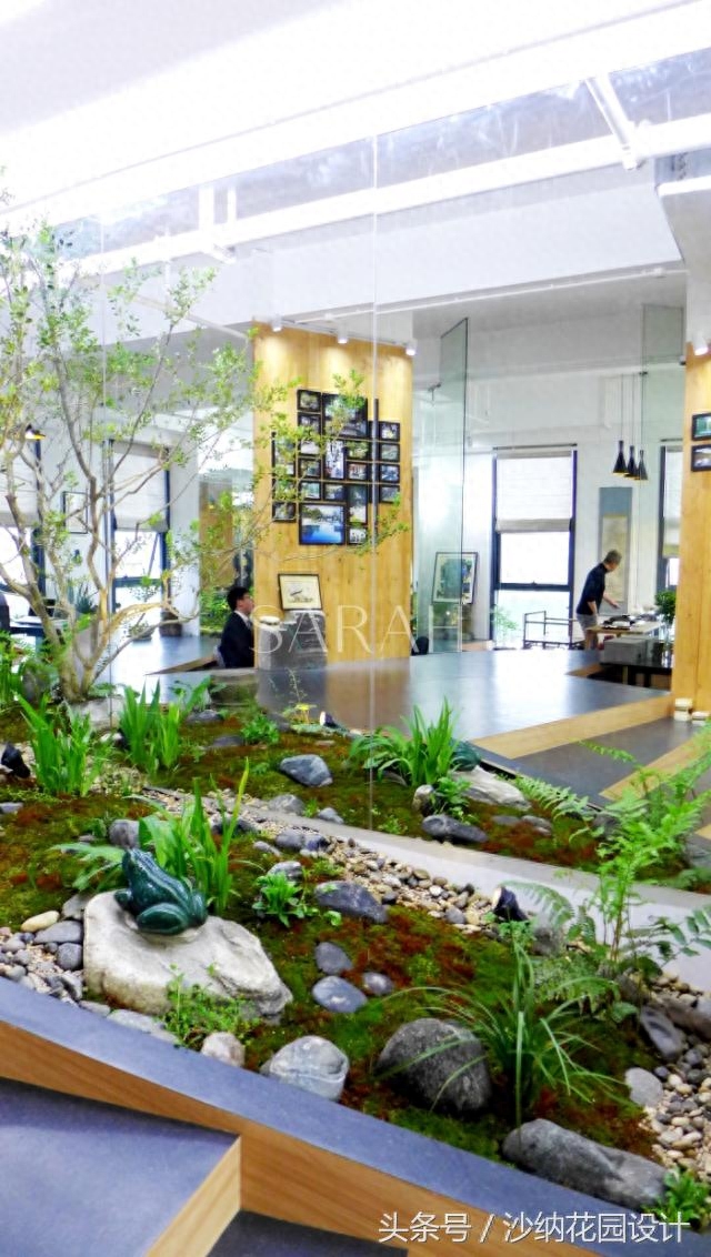 办公室养植物适合养什么花_办公室养植物适合什么花_适合办公室养的植物