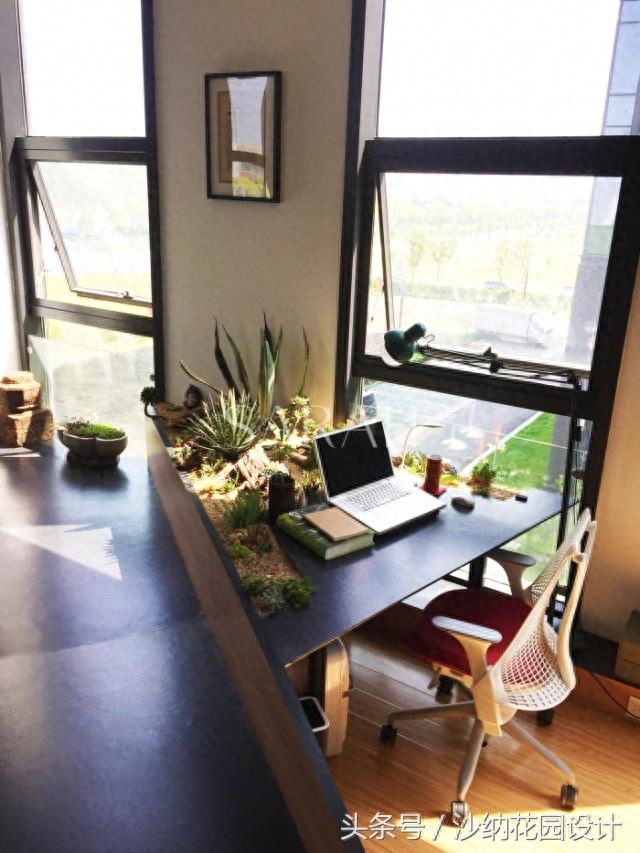 办公室养植物适合什么花_适合办公室养的植物_办公室养植物适合养什么花