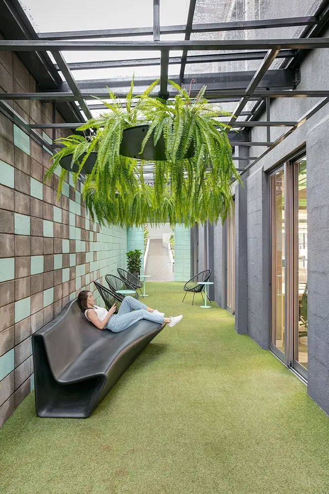 绿色办公室装修_绿色的办公室_办公室绿色植物摆放风水