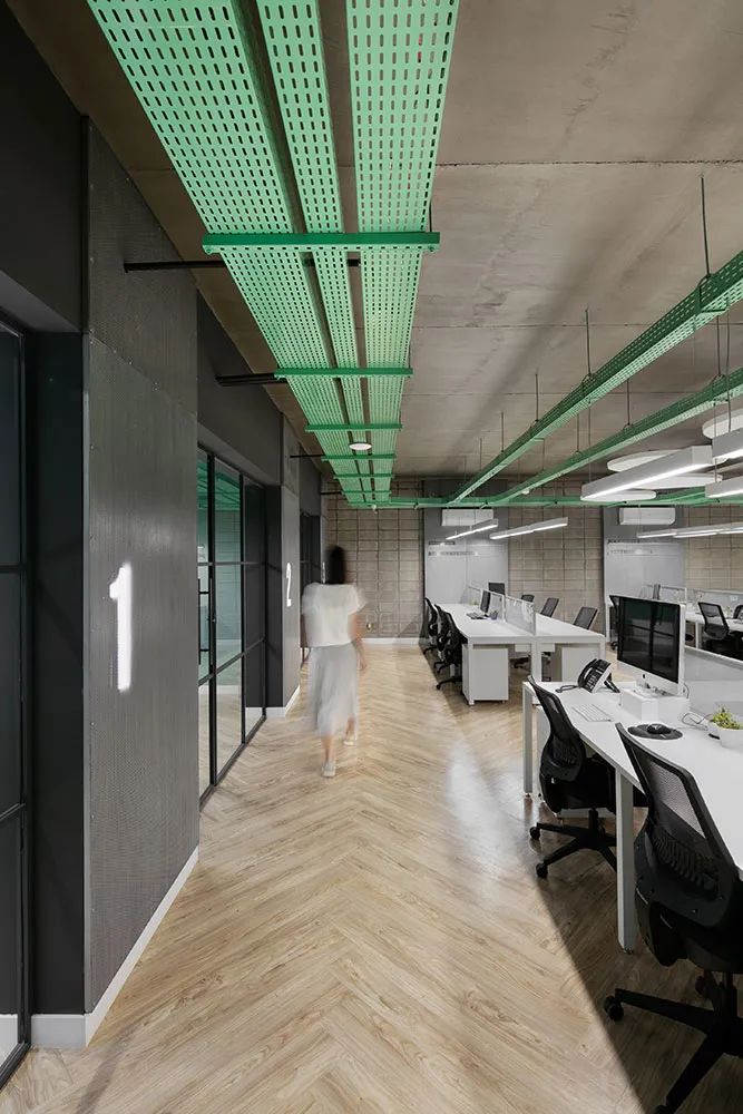绿色的办公室_绿色办公室装修_办公室绿色植物摆放风水