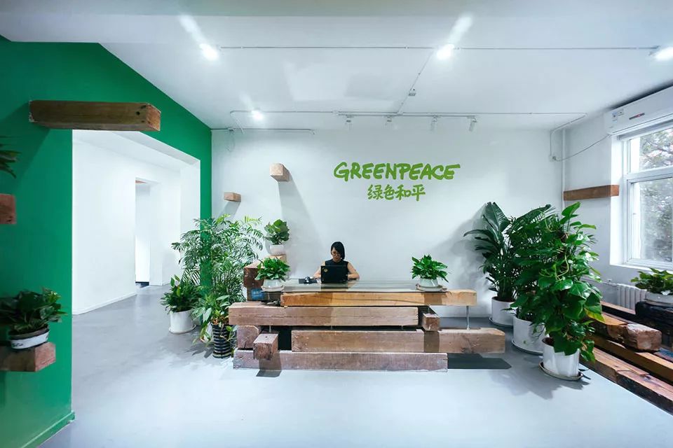 办公室绿色植物租摆_办公室绿色植物大全_绿色的办公室
