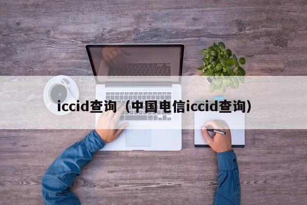 iccid查询（中国电信iccid查询）