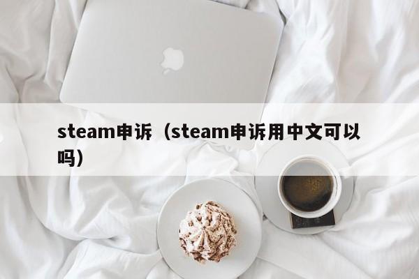 steam申诉（steam申诉用中文可以吗）