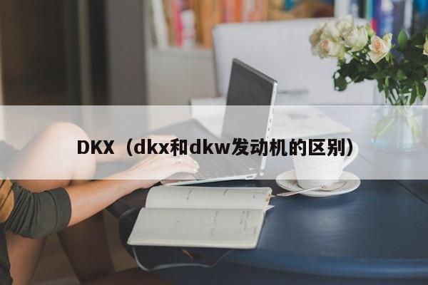 DKX（dkx和dkw发动机的区别）