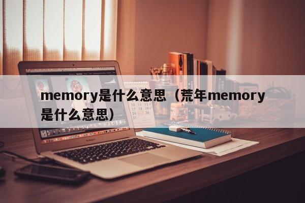 memory是什么意思（荒年memory是什么意思）