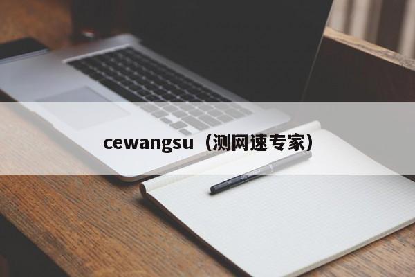 cewangsu（测网速专家）